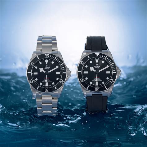 tudor pelagos models.